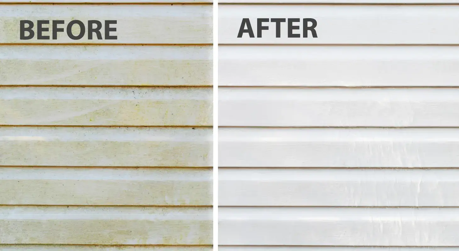 before vs after the cleaning